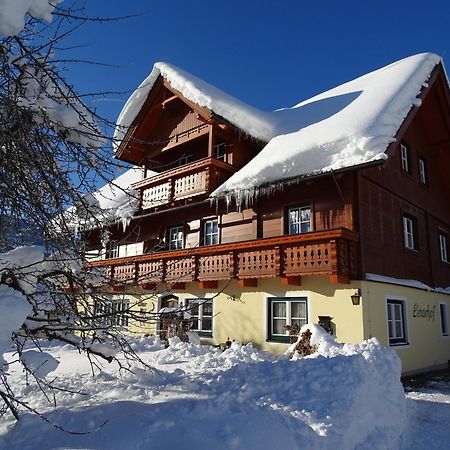 Linarhof Apartment Urlaub Am Bio Bauernhof Haus im Ennstal Eksteriør billede