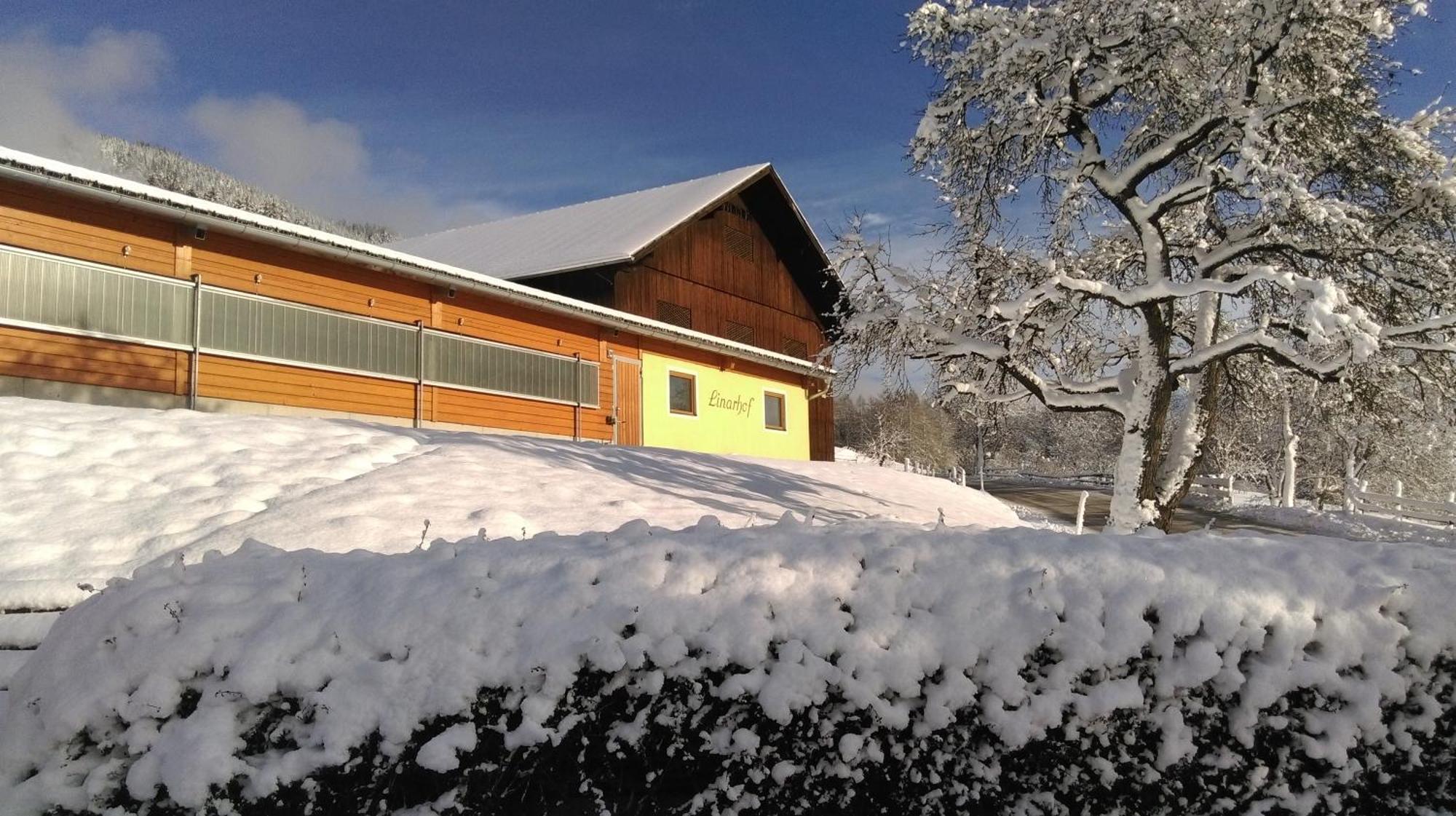 Linarhof Apartment Urlaub Am Bio Bauernhof Haus im Ennstal Eksteriør billede