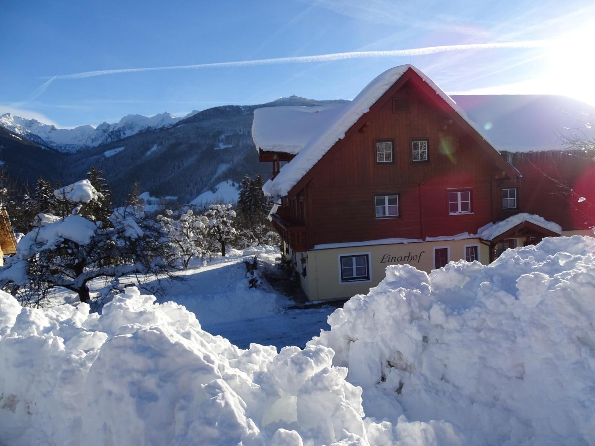 Linarhof Apartment Urlaub Am Bio Bauernhof Haus im Ennstal Eksteriør billede