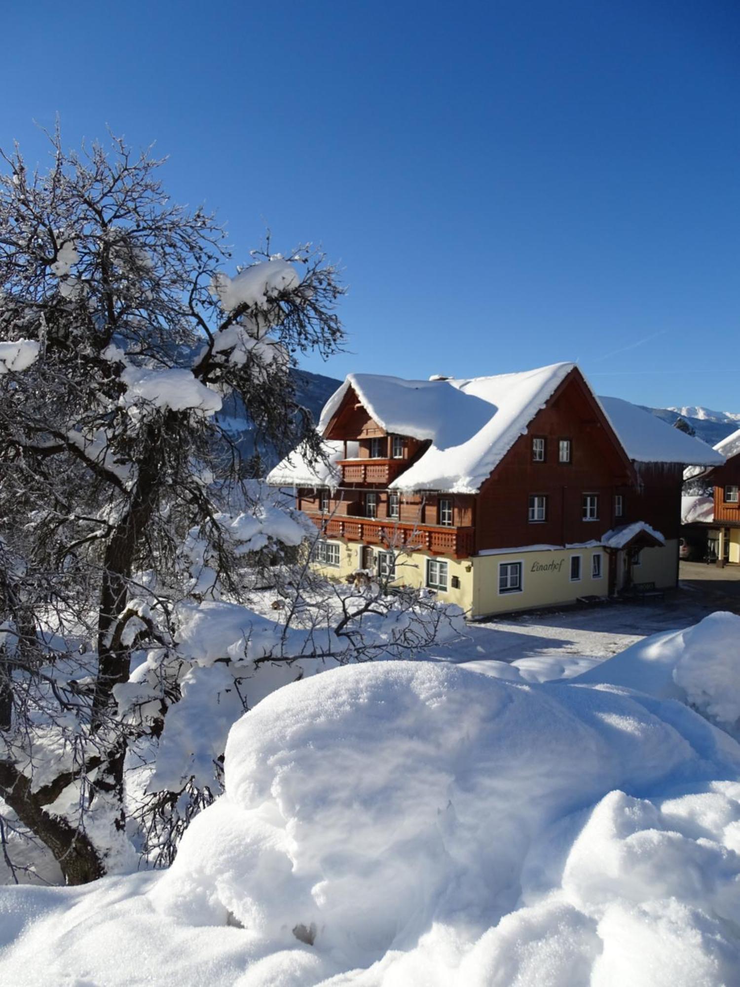 Linarhof Apartment Urlaub Am Bio Bauernhof Haus im Ennstal Eksteriør billede