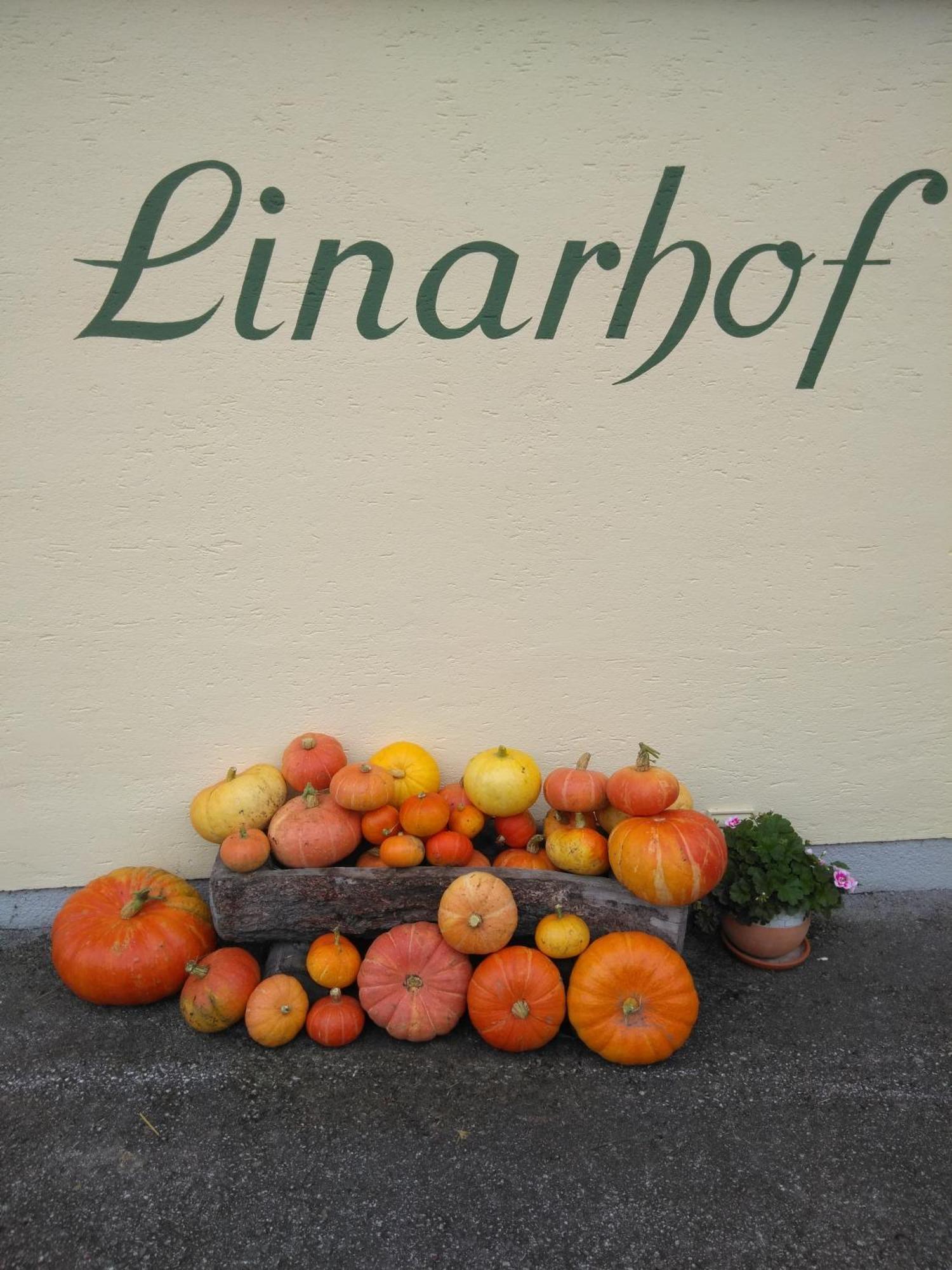 Linarhof Apartment Urlaub Am Bio Bauernhof Haus im Ennstal Eksteriør billede